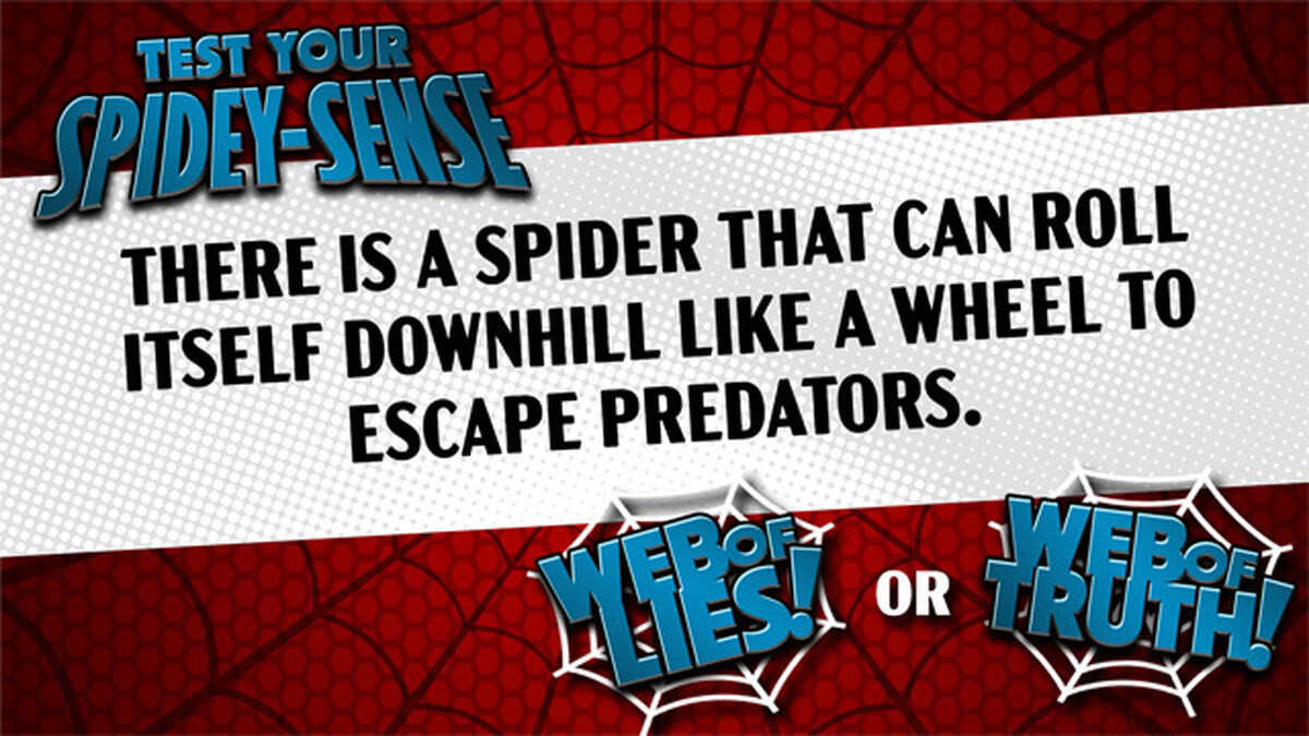 Test Your Spidey-Sense image number null